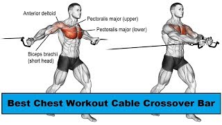 Cable Crossover Bar Exercise  Lower Chest amp Uper Chest Best Exercise  Mettsa Fitness  Raj Mathur [upl. by Annaek]