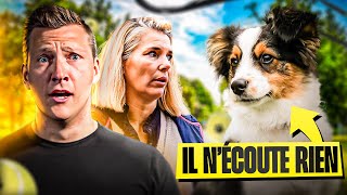 Ce CHIOT na AUCUN Rappel amp Mordille nos conseils  Sos Educ Dog Ep 3 [upl. by Caraviello558]