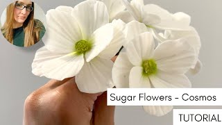 How to make sugar flowers  Cosmos tutorial [upl. by Ieppet]