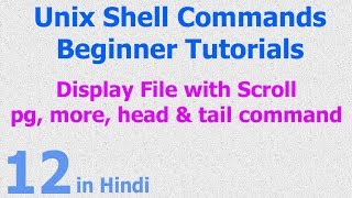 12  Unix  Linux Shell  Display File  PG  More  Head  Tail Commands [upl. by Gnek]