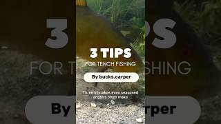 3 tips for tench fishing in 56 seconds fishing carpy tench tenchfishing [upl. by Otrebogir]