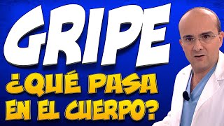 GRIPE  ¿Qué pasa en el cuerpo de quienes la padecen [upl. by Shirk]