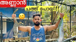 💥ചത്തുപോയ അണ്ണാനുംചൂണ്ടയിൽ പിടിച്ച അരാപൈമയും  Aged Squirrel and Arapaima [upl. by Portwin]