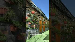 Alpine resort muree😍viralvideo subscribe youtube [upl. by Emmye170]