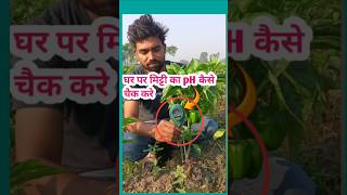 मिट्टी PH चैक कैसे करें agriculture agriculturefarming farming shortsviral [upl. by Evad]