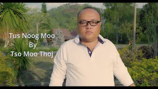 Tus Noog Moo by Tso Moo Thoj [upl. by Zobe]