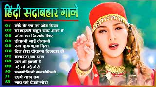 Hindi Gana🌹Sadabahar Song 💖हिंदी गाने 💔Purane Gane Mp3 💕Filmi Gaane अल्का याग्निक कुमार सानू गीत [upl. by Rose]