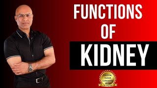 Functions of Kidneys  Physiology and Structure  Dr Najeeb [upl. by Luzader]