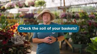 How To Water Hanging Baskets and Containers [upl. by Elleimac]