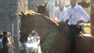 Orgosolo Cavalieri e LAssunta Sardinien [upl. by Neehsar]