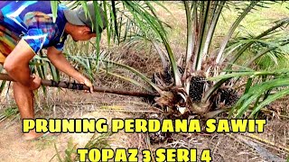 CARA SORTIR PELEPAH KELAPA SAWIT PERDANA UNTUK SAWIT USIA 2 TAHUN [upl. by Ainolopa]