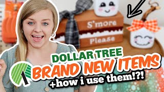 Grab these BRAND NEW Dollar Tree items for BRILLIANT FALL DIYS 2024 fake high end looks [upl. by Thin805]