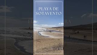 Playa de Sotavento fuerteventura beach [upl. by Brandais520]