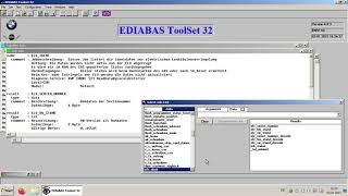 tool32 BMW elv cas counter reset  ohne zündung  without ignition  ediabas  inpa  keine zündung [upl. by Natsreik207]