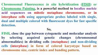 FISH Technique Meaning [upl. by Bertrando]