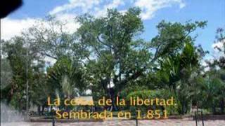 Himno de Gigante Huila [upl. by Wolfson]