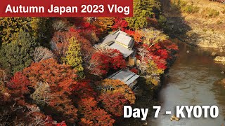 Autumn Japan Day 7 Kyoto  4K60 HDR [upl. by Aurelio]