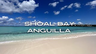 Discover Shoal Bay Anguilla’s ultimate beach 4k [upl. by Wickman883]