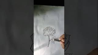 Rose pencil Art ll please subscribe my channel [upl. by Lahcym]