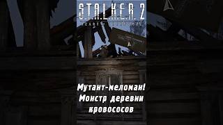 Увеличенный магазин на гром и мутантмеломан  STALKER 2 [upl. by Amaral48]