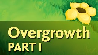 Overgrowth  Flowerfell 13 [upl. by Luciana]