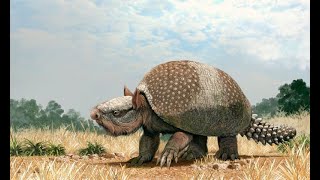 Glyptodonts Glyptodonts Glyptodonts [upl. by Nnyleimaj]