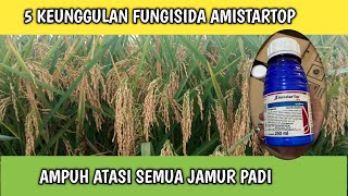 5 KEUNGGULAN FUNGISIDA AMISTARTOP UNTUK ATASI SEMUA JAMUR [upl. by Oizirbaf]