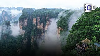 Wulingyuan Scenic and Historical Area「UNESCO World Heritage Sites in China」  China Documentary [upl. by Sucramaj]