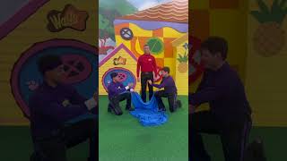 Abracadabra 💫 The Wiggles [upl. by Kin]