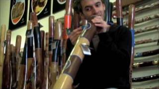 Didgeridoo Lesson  More didgeridoo sounds using your voice [upl. by Enrichetta]