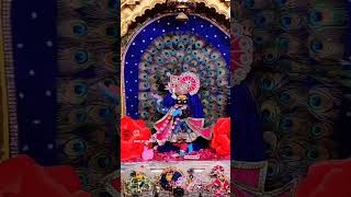 Sawariya Seth New Status new song new bhajan new shorts sawariya seth temple sawariya Seth [upl. by Haskell]