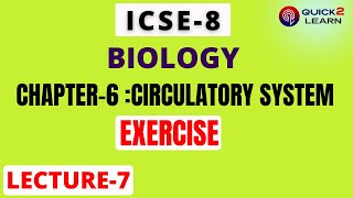 CLASS VIII BIOLOGY CH6 EXERCISE SOLUTION CIRCULATORY SYSTEM BLOOD VESSELSBLOOD CIRCULATION [upl. by Inness]