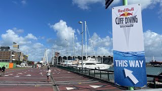 Live  Red Bull Cliff Diving Auckland 2024 [upl. by Palumbo]