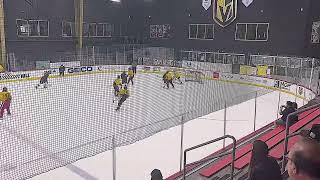 Austin Bruins NAHL Pre Draft Camp Highlights [upl. by Einhoj]