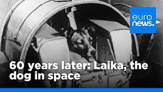 60 years on  Laika the dog in space  euronews 🇬🇧 [upl. by Shiller]