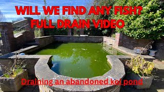 Draining an Abandoned Koi Pond [upl. by Jarlath]