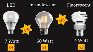 Types of Bulbs LED vs INCANDESCENT vs FLUORESCENT BULB 10 KEY DIFFERENCES [upl. by Buckingham]