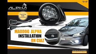 Maddog Alpha Light on Maruti Suzuki Ciaz [upl. by Rondon]