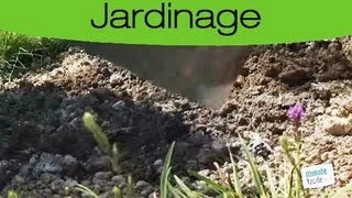 Astuces Jardinage  Utiliser les cendres de bois dans son jardin [upl. by Eiramoj]