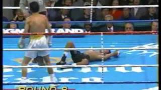 Ricardo el finito Lopez Knockoutsflv [upl. by Norramic694]