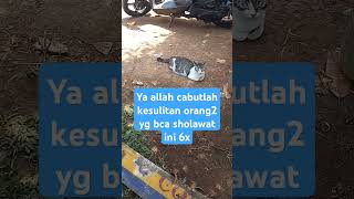 Sholawat barokahsholawat bismillahberkah allhamdulillah rezekilancar [upl. by Evad]