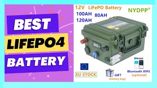 100AH 120ah 80ah Battery 12v Lithium iron phosphate battery [upl. by Otrebogad868]