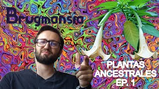 Brugmansia Floripondio  PLANTAS ANCESTRALES EP 1 [upl. by Torhert]