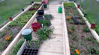 Siltnamio vlogas 2 Greenhouse vlog 2 Geles vazonuose Planting flower containers [upl. by Lovato]