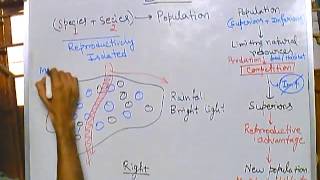 Evolution part 5 speciation 1 mechanism of speciation allopatric speciation [upl. by Arymahs420]