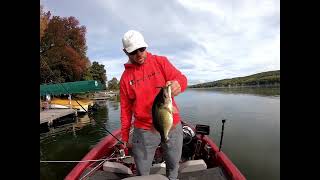 Waneta lake early fall dock bass fishing and lost a trophy musky on a glide bait [upl. by Noevart843]