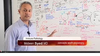 Immunology Lecture 19 Immune Pathology [upl. by Erda]