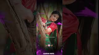 Narvat Rathva New Song Lili Odhani Ma Taru Dholu Ful  2024 shortvideo [upl. by Jareen168]