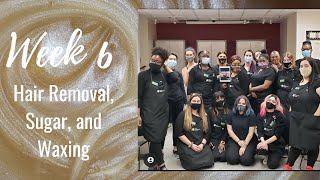 AVEDA ESTHETICIAN SCHOOL  Week 6 [upl. by Belvia228]