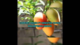 ndekalapo nokutontonkanya eco mango ipila ubushiku Walimpesha Amano welesa Godfrey ft Divine [upl. by Benito]